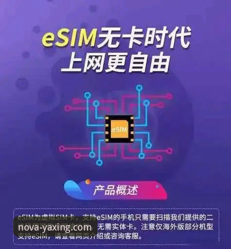 资深用户分享：解锁亚星手机客户端的创新体验与高效使用心得